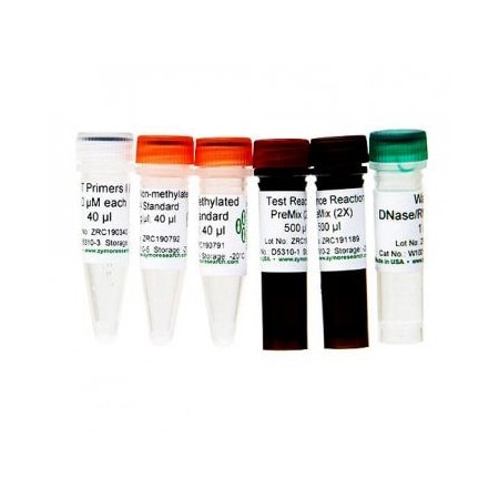 OneStep QMethyl-PCR Kit